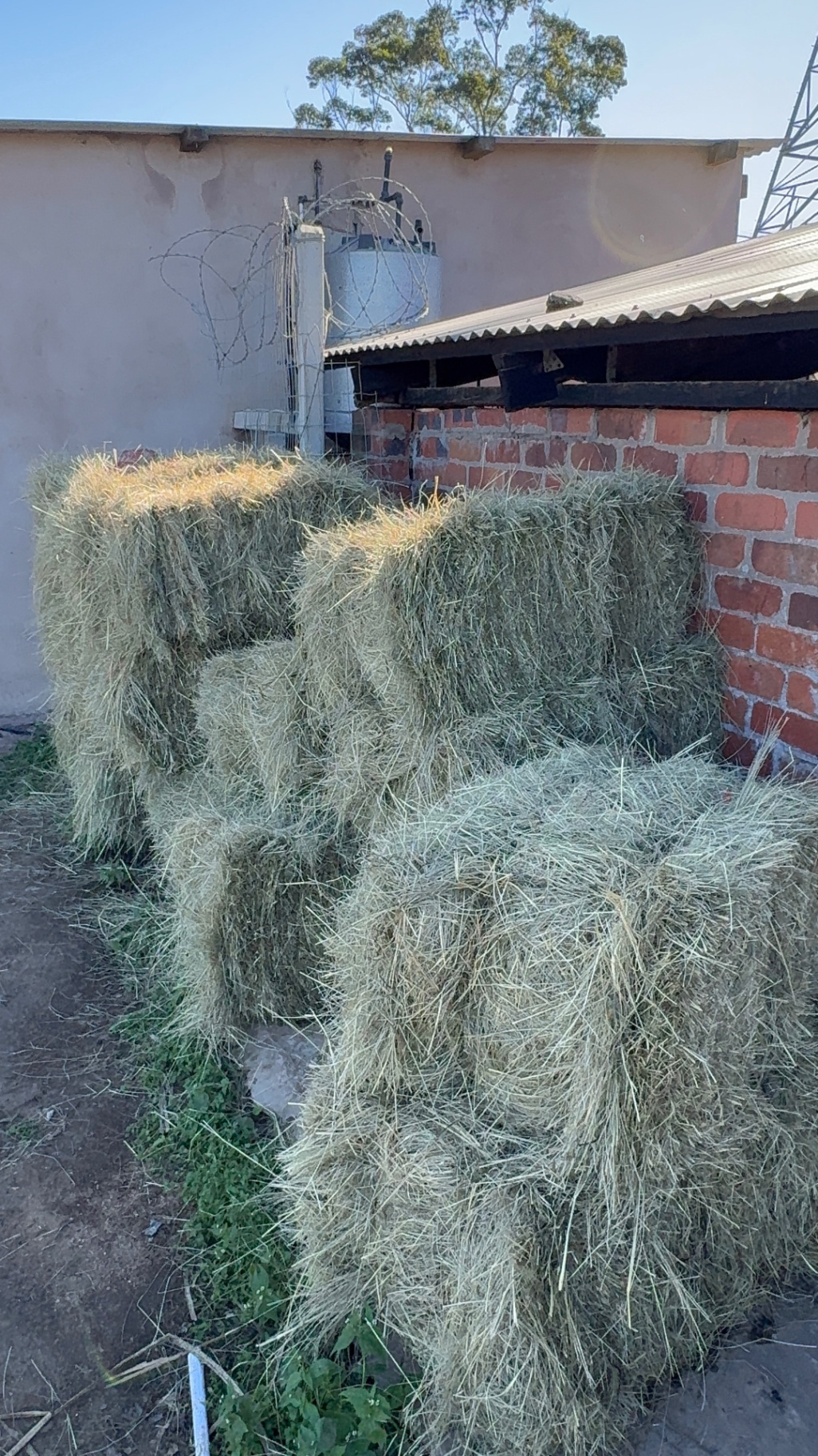 Bales of hay stacked beside the farm buildings at Mdaks Farming