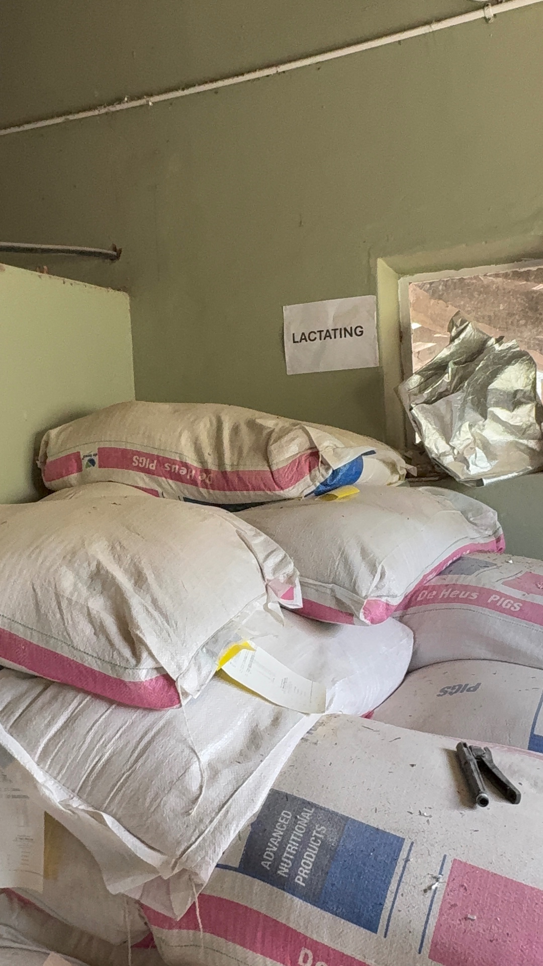 Stacked De Heus pig feed sacks marked LACTATING in the Mdaks Farming feed store