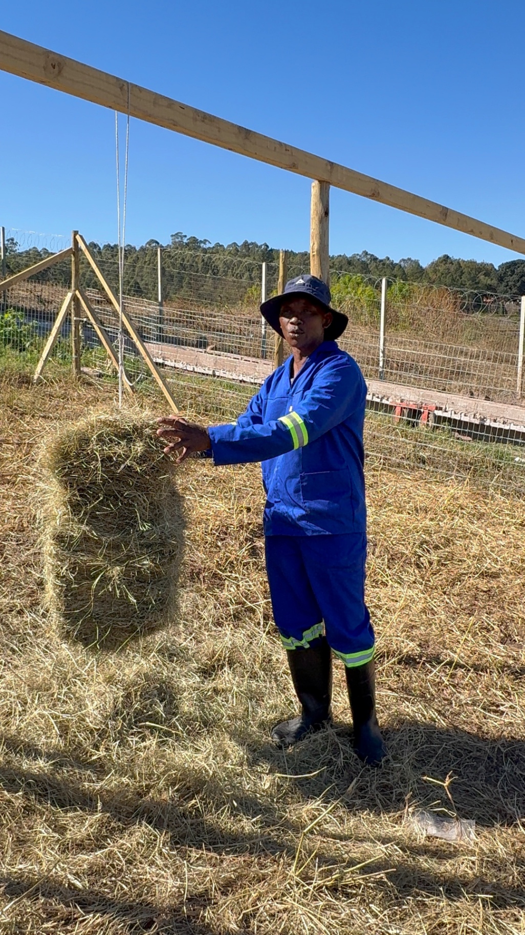 Mdaks Farming stockman standing in the hay field beside fresh hay bales