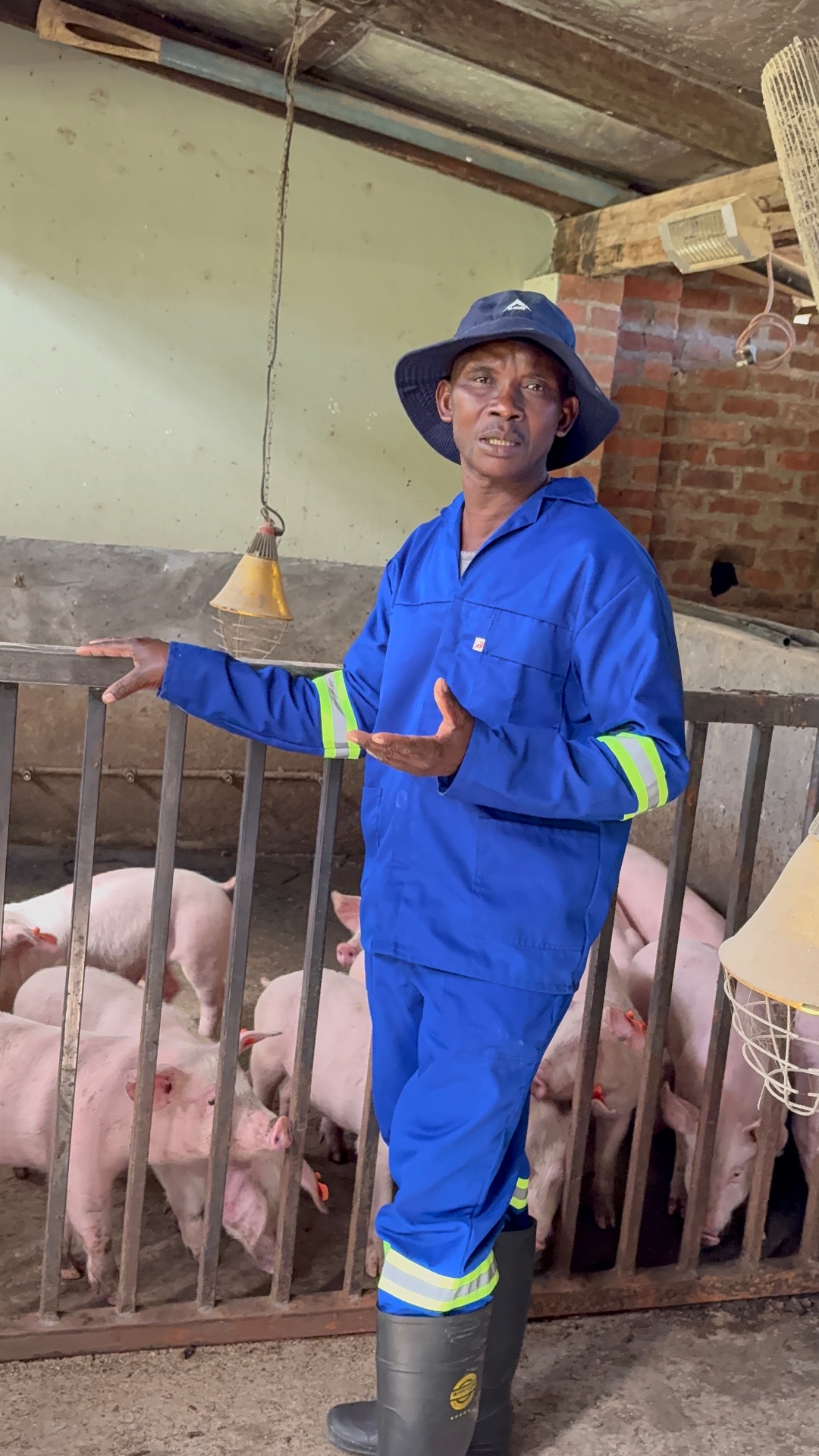 Mdaks Farming stockman in blue overalls explaining the weaner room with piglets in the pen behind